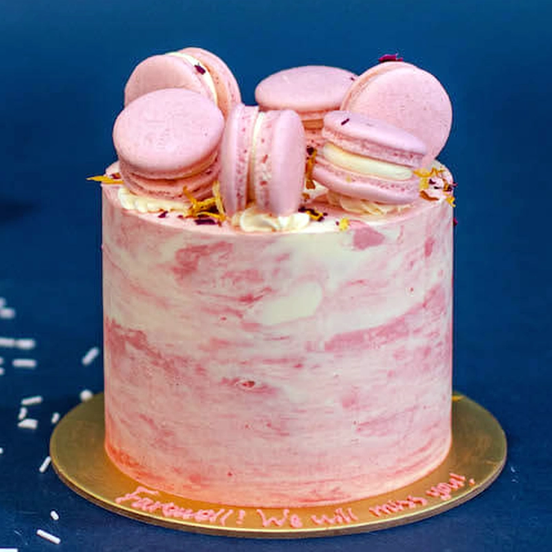 Dusty Rose Marbled Mini Cake with Macarons